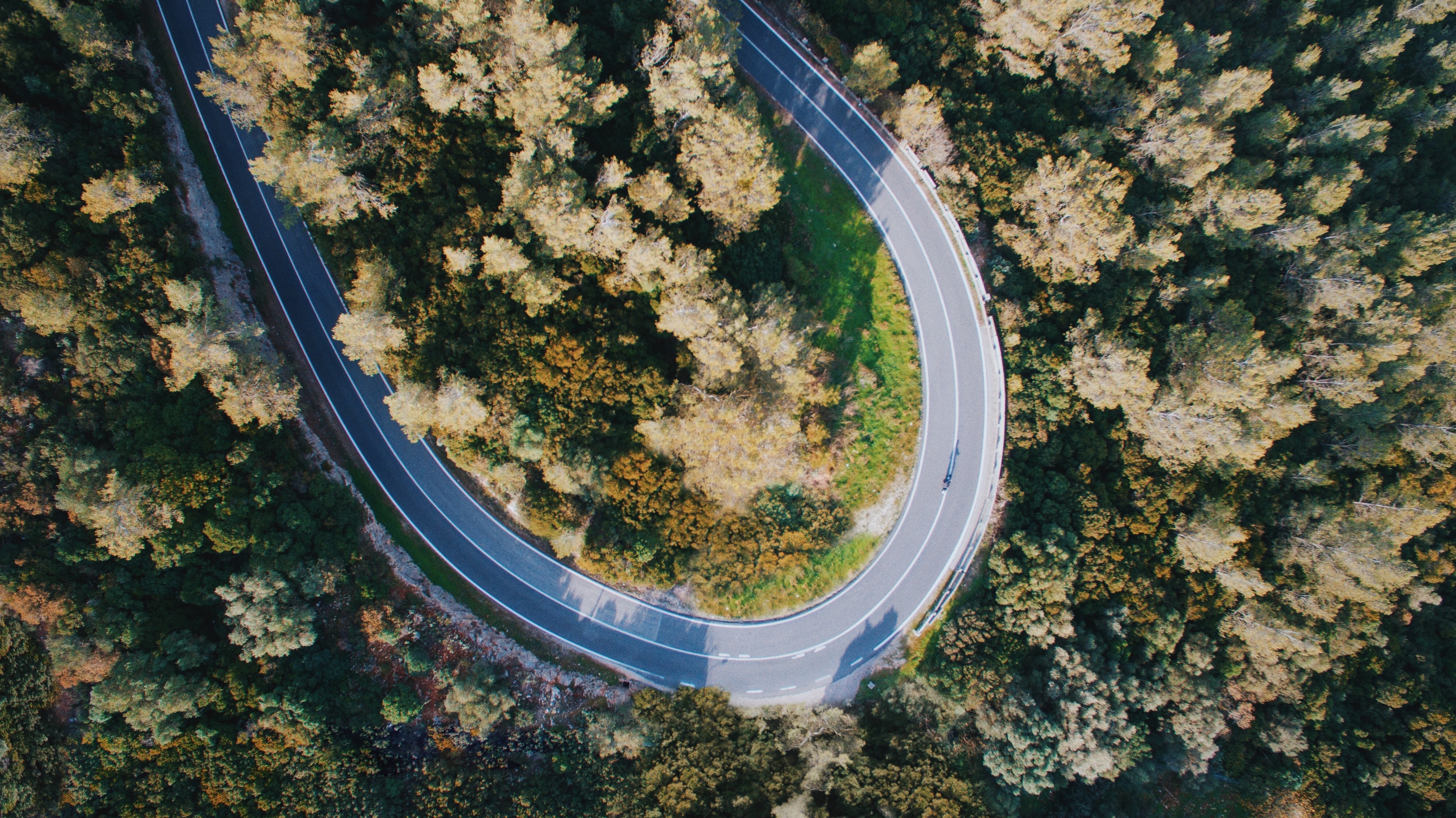 Road in landscape